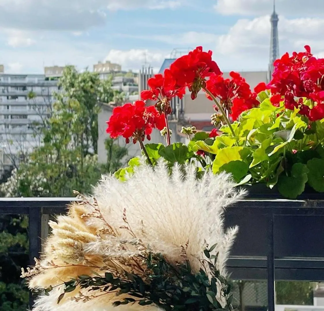 Apartment Appt 2 Chambres Vue Tour Eiffel Paris